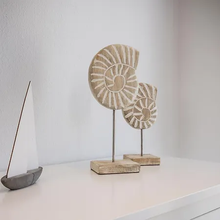 50090.... Carolinensiel